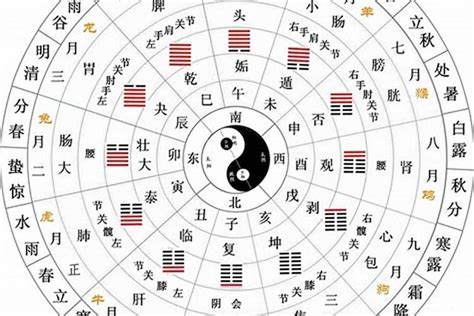 地支五行陰陽|[易經基礎] 天干地支詳解，天干地支配陰陽，天干地支配五行，天。